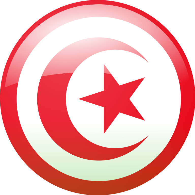 Premium IPTV Deals for Tunisian Families